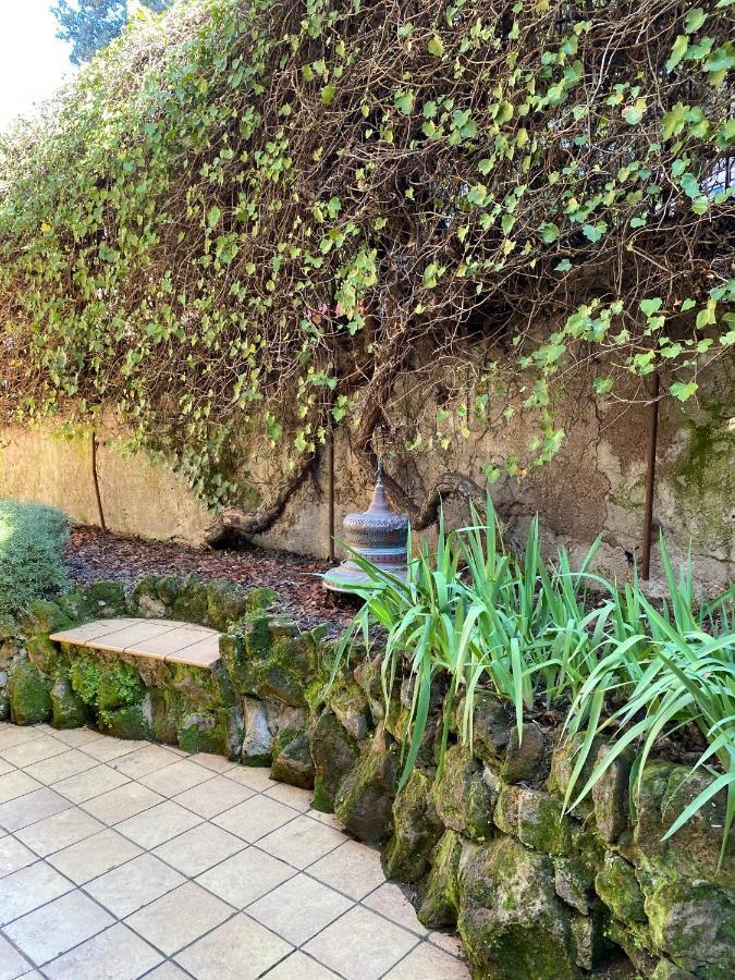 Trastevere Oasi Garden Apartment - Roma Exteriér fotografie
